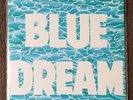 TURNOVER BLUE DREAM ACOUSTIC 7