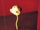 JULEE CRUISE - THE VOICE OF LOVE VINYL LP NEW (17TH AUG)