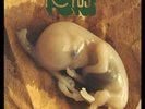 BATTIATO,FRANCO-FETUS  (US IMPORT)  VINYL LP NEW
