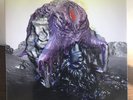 Vulnicura by Bjork 2015 Vinyl One LIttle Indian Records Deluxe Edition 1st Press
