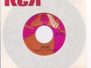 Canada Sunshine Pop 45- MUTUAL UNDERSTANDING - San Jose /Everybody Loves My Baby