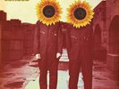The Wood Brothers - Loaded (2008) rare LP vinyl OOP NEW SS
