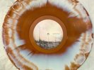 If These Trees Could Talk Red Forest Vinyl LP