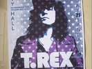 Music poster, T.Rex in concert, City Hall, Newcastle, 1974