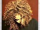 Janet Jackson - The Velvet Rope / 2LP - UK ORIGINAL - 1997 - Gatefold Jacket