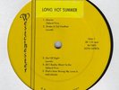 LONG HOT SUMMER 1965 LP Michigan Garage RARE ORIG plays nice  Westchester W-1005