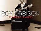 ORBISON, ROY-Running Scared (180g) (2LP)  VINYL NEW