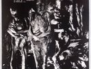 NURSE WITH WOUND: Insect & Individual Silenced w/ Insert Industrial LP NM- Rare