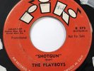 The Playboys Promotional Single LP Jungle Fever & Shotgun Not For Resale