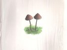 Mark Farina Mushroom Jazz 2 NEAR MINT Optimo Music 2xVinyl LP