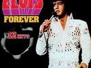Elvis* - Elvis Forever - 32 Hits (2xLP, Comp, RE Vinyl Schallplatte - 154844