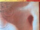 Pink Floyd (meddle ) Bob Dylan (Blonde  on Blonde)