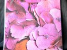 Still Life Still Life Vertigo reissue 180g 12