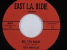 Garage Soul 45 MIDNITERS Are You Angry EAST L.A. OLDIE VG+ HEAR