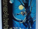 Iron Maiden - Fear of the Dark x2 vinyl