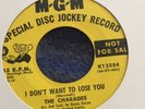 The Charades. I Dont Want To Lose You  45