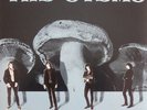 The Stems Let Your Head Rest + BOOK Vinyl Single 7inch NEAR MINT Zero Hour R