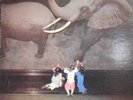 HERBIE HANCOCK Directstep - Japanese Sony Direct Disk 1979