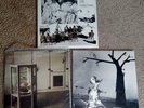 Lindsay Cooper LP’s – “Rags”, “Music For Other Occasions”, Last Nightingale”