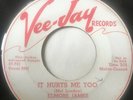 RARE Blues Promo 45/ Elmore James 
