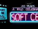 Two tickets for FINAL Soft Cell concert. Sold out at O2 on 30th September 2018. 