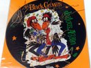 THE BLACK CROWES Jealous Again 3 Track 12
