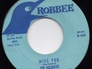 Holidays-Miss You-Robbee Doo Wop 45 
