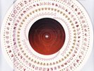 A Perfect Circle The Doomed & Disillusioned Vinyl Promo Limited Edition