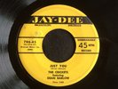 Crickets, Jay-Dee 786, Just You & My Little Baby's Shoes