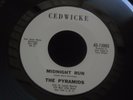 ZZ4 CEDWICKE 13005 SURF ROCK THE PYRAMIDS SKIP MERCIER MIDNIGHT RUN PITMAN