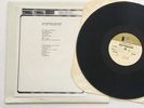 Descendents Hallraker Test Pressing LP SST Press Hall Raker All Punk