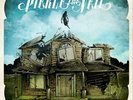 Collide with the Sky - Pierce the Veil (Vinyl)