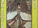 Winston Riley - Meditation Dub JA Techniques LP Listen