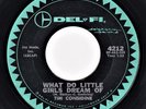 BLUE EYED SWEET SOUL Tim Considine : What Do Little Girls Dream Of   DEL-FI 45