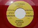 TWILIGHTERS .. Please Tell Me / Wondering ...RE (Red) 45 on MARSHALL 702 ...RARE