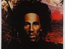 Bob Marley & The Wailers - Natty Dread LP - Island VG++