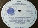 Peter Green's Fleetwood Mac MONO Cover with  GOLD STEREO Sticker