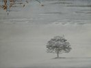 WIND AND WUTHERING (2018 REISSUE VINYL) NEW VINYL