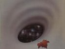 Robin Trower Long Misty Days UK vinyl LP album record CHR1107 CHRYSALIS 1976