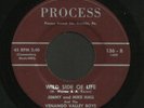 Pennsylvania Hillbilly 45   Jimmy & Mike Hall   Process   Hear