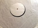 NATIVE SAMPLER THREE Natural Instinct: Broom Hill Tejada Leviste Sims Nuron 12