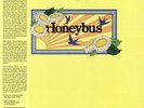 HONEYBUS - Recital (reissue) - Vinyl (LP + insert with obi-strip)