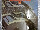 Chris Barber & His Band - Batersea Rain Dance features Funk Track 