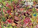 Giant Sand-Returns To Valley Of Rain  VINYL NEU