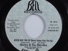 Crossover Soul 45 SHIRLEY & THE SHIRELLES Never Give You Up BELL VG+ promo HEAR