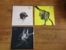 SIGUR ROS - JONSI - ALEX SOMERS - ALL TITLES RSD 2018 - Ltd Ed. 1000 Copies MINT