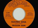 Psych Fuzz Funk 45 - Frozen Sun - Electric Soul - Capt. Zoomar - NM mp3 - rare