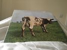 PINK FLOYD Atom Heart Mother LP VINYL UK Harvest 1970 Original 
