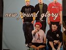 New Found Glory 702/1000 Limited Edition Numbered LP Vinyl Record Picture disc