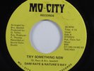 Funk/Sweet Soul 45 DANI RAYE & NATURE'S WAY Try Something New MO-CITY HEAR
